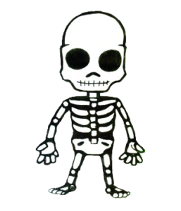 esqueleto_v2